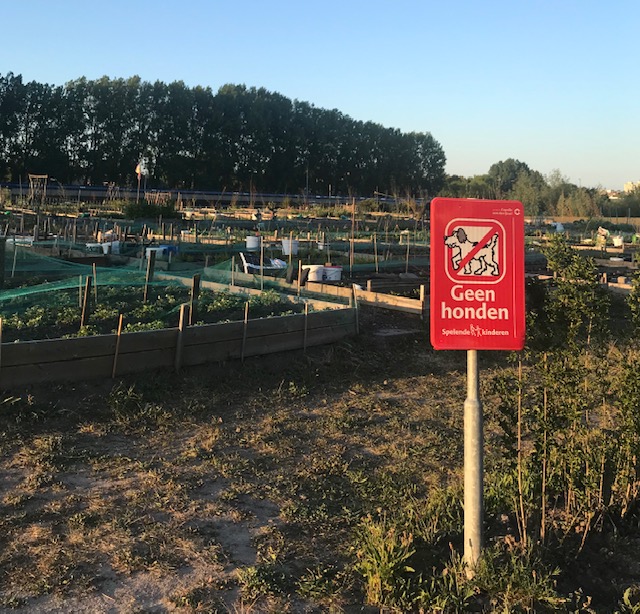 Buitenplant asiel bij de stadslandbouw