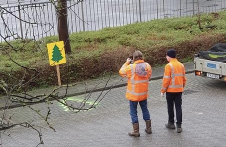 Kerstbomen inleveren
