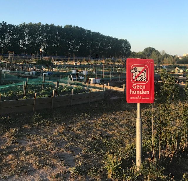 Buitenplant asiel bij de stadslandbouw